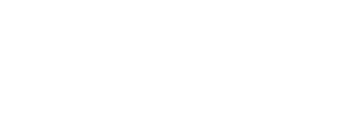 Liceo Academy